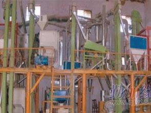 河南鑫豐供應商 專業提供面粉機成套設備及二手面粉機，合作河南工業大學，品質保障